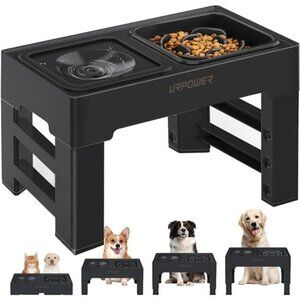 2-in-1 Elevated Slow Feeder Dog Bowls with No Spill Dog Water Bowl 4